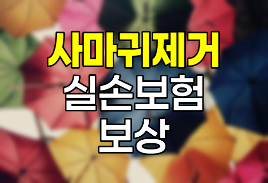바이러스성 사마귀 제거와 실손보험 보상의 실태