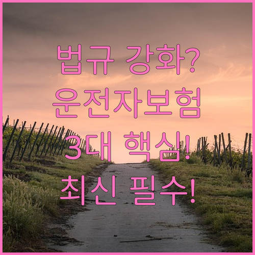 강화된 교통 법규 대비 운전자보험 3..