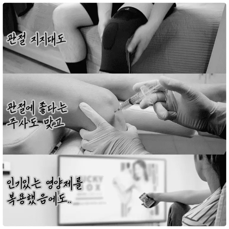 무릎관절영양제