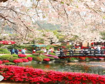 베어트리파크 철쭉축제 봄과 철쭉_1