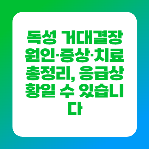 독성 거대결장 원인·증상·치료 총정리, 응급상황일 수 있습니다