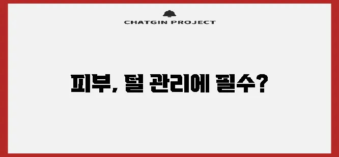 강아지 목욕 수건 피부 건강과 털 관리에 꼭 필요합니다!