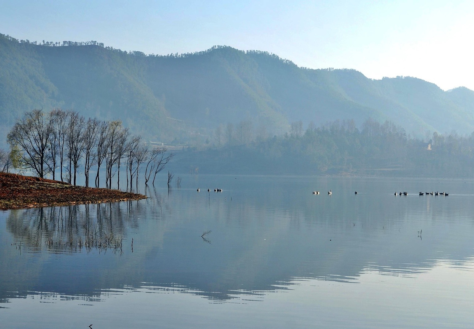 염증이 다시 올라갈 때 몸이 보내는 '위험 신호 5단계'