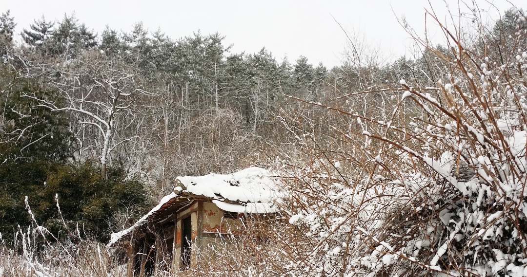 11월 넷째주, 마지막주 대표기도문