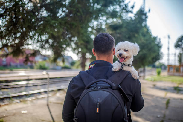 반려동물과 기차 외 다른 교통수단 비교