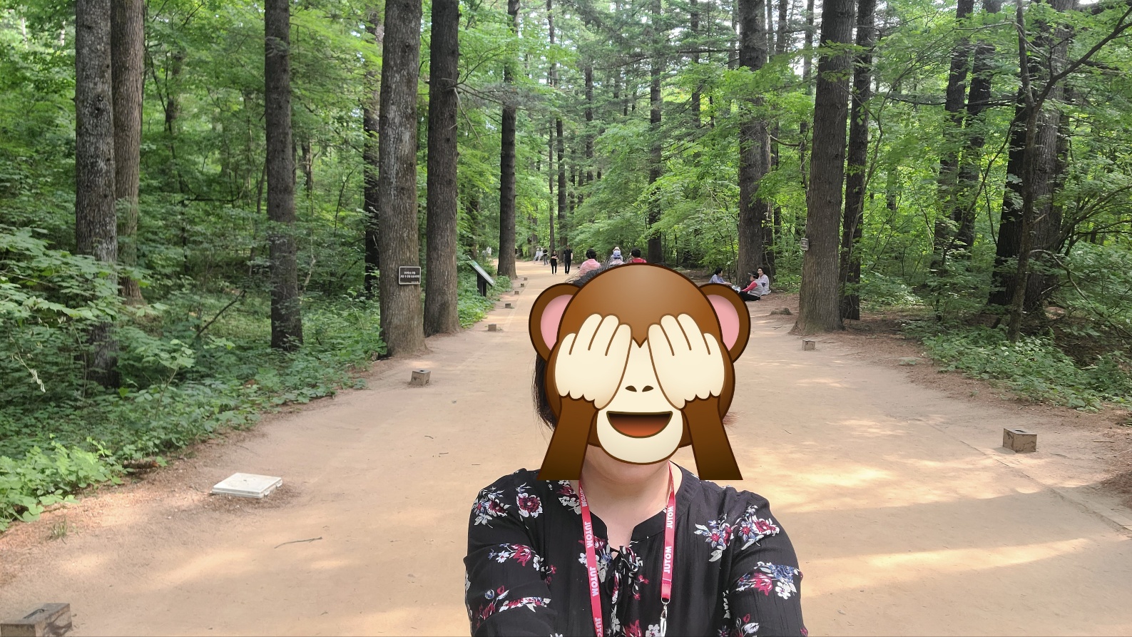 평창-전나무-숲길