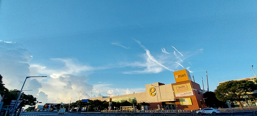 파란하늘에 '새가되어 날으리'