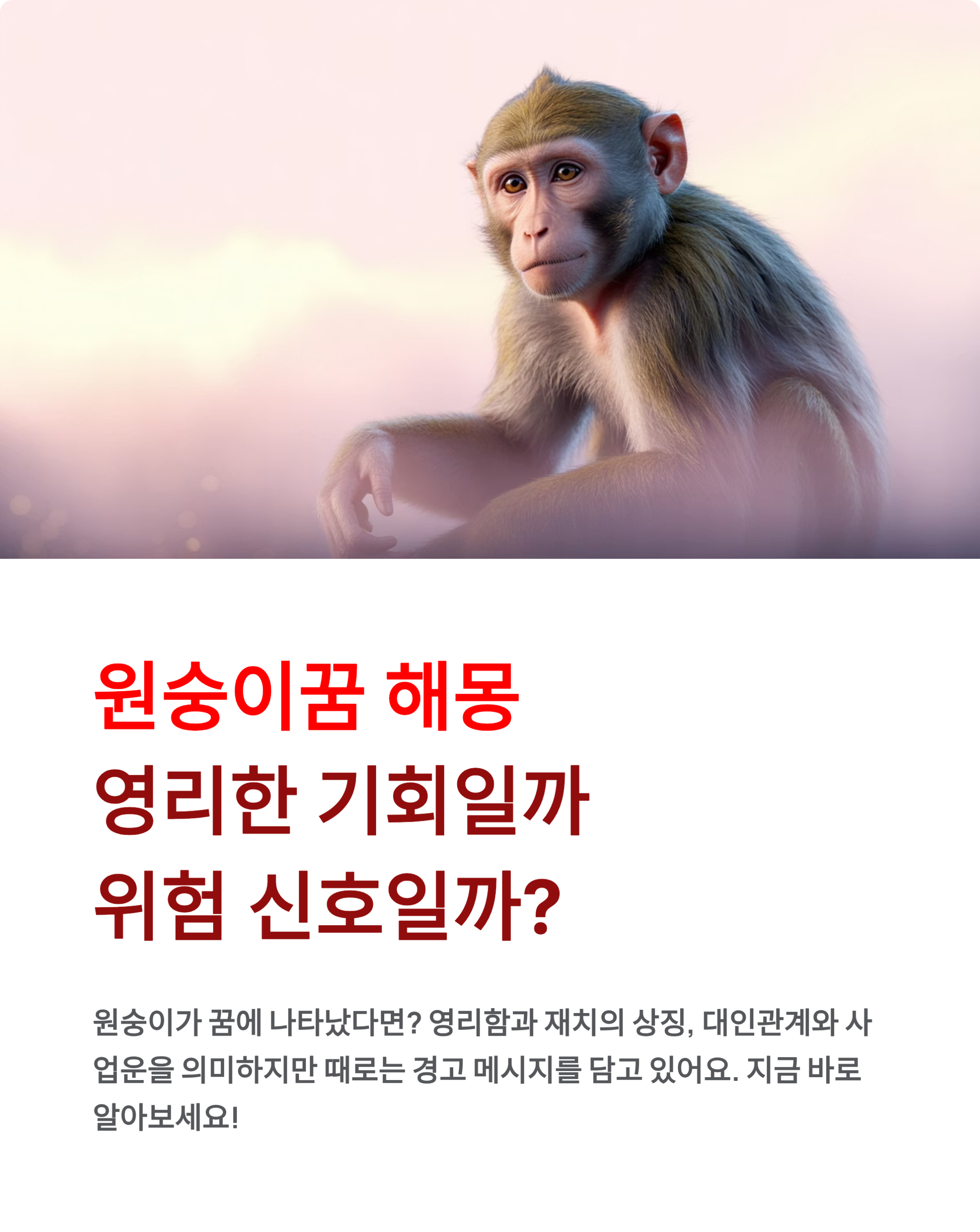 원숭이꿈 해몽 - 영리한 기회일까 위험 신호일까?