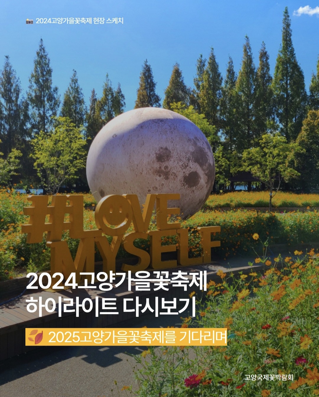 2025 고양가을꽃축제 완전 가이드 (출처: 고양가을꽃축제 공식 인스타그램)