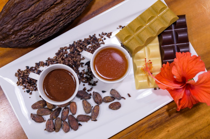 초콜릿과 카카오가 신대륙