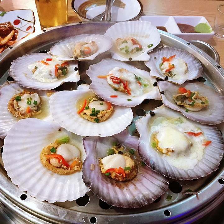 거제 거제도 맛집 추천 생방송투데이 청정 남해바다를 겹겹이 새조개 샤브샤브 코끼리조개 회 4단 해물찜 오늘방송 자족식당