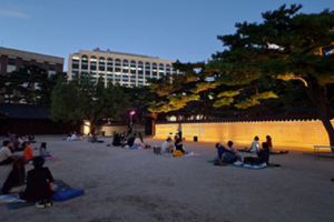 서울 문화의 밤