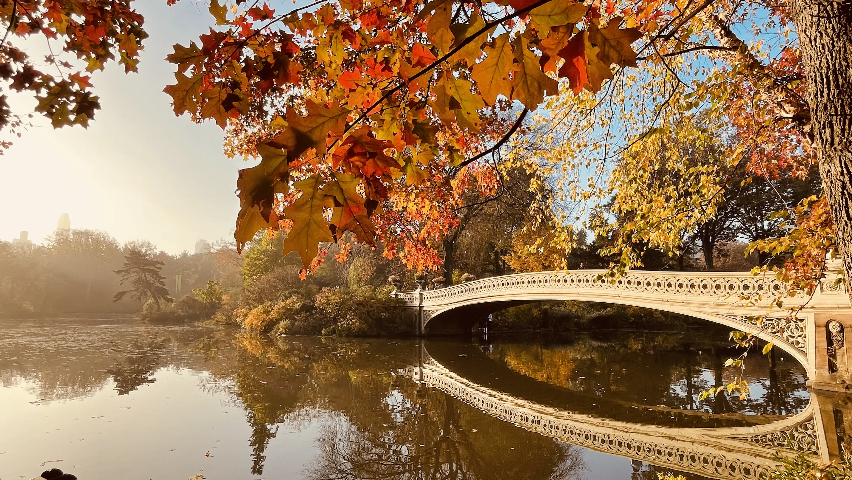오케스트라를 구성하는 클래식 악기들의 종류와 특징을 정리_3