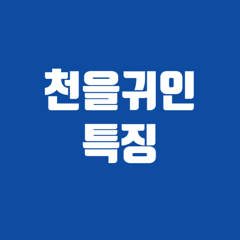 천을귀인 특징
