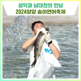 양양 송이연어축제 3년 만에 다시 개최 일정 총정리_27