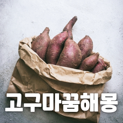 고구마 꿈해몽