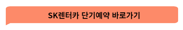 렌터카 비용 및 장기대여