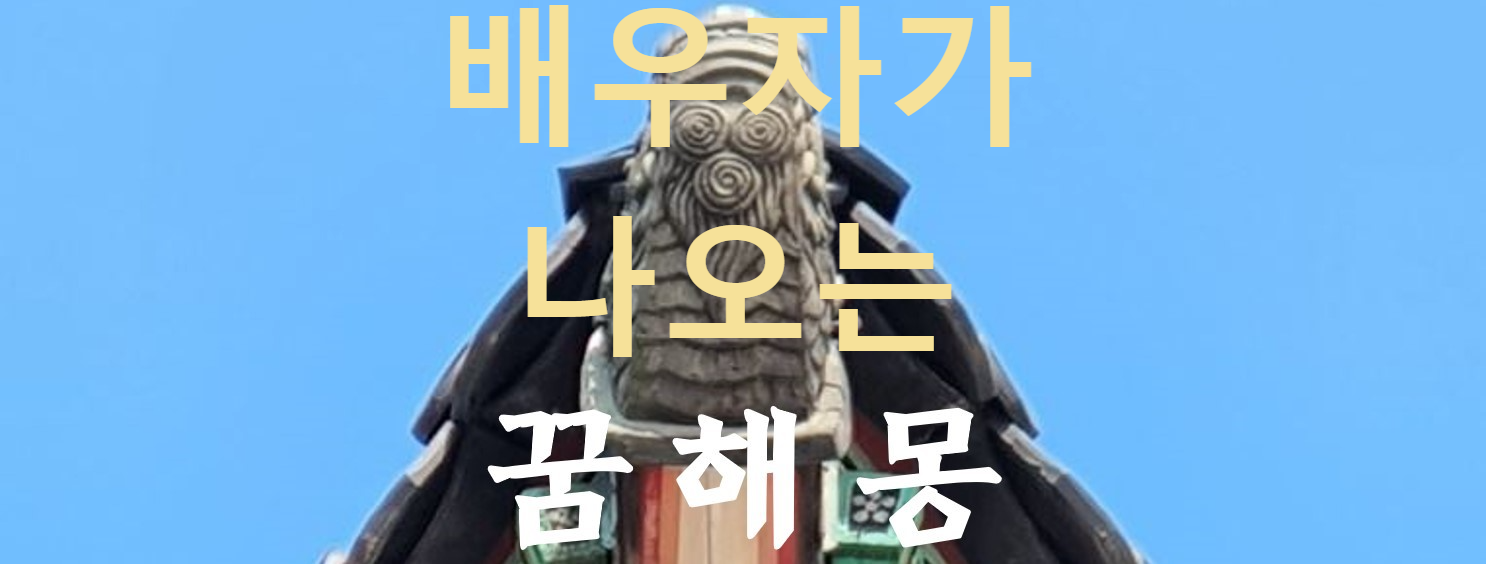 꿈해몽