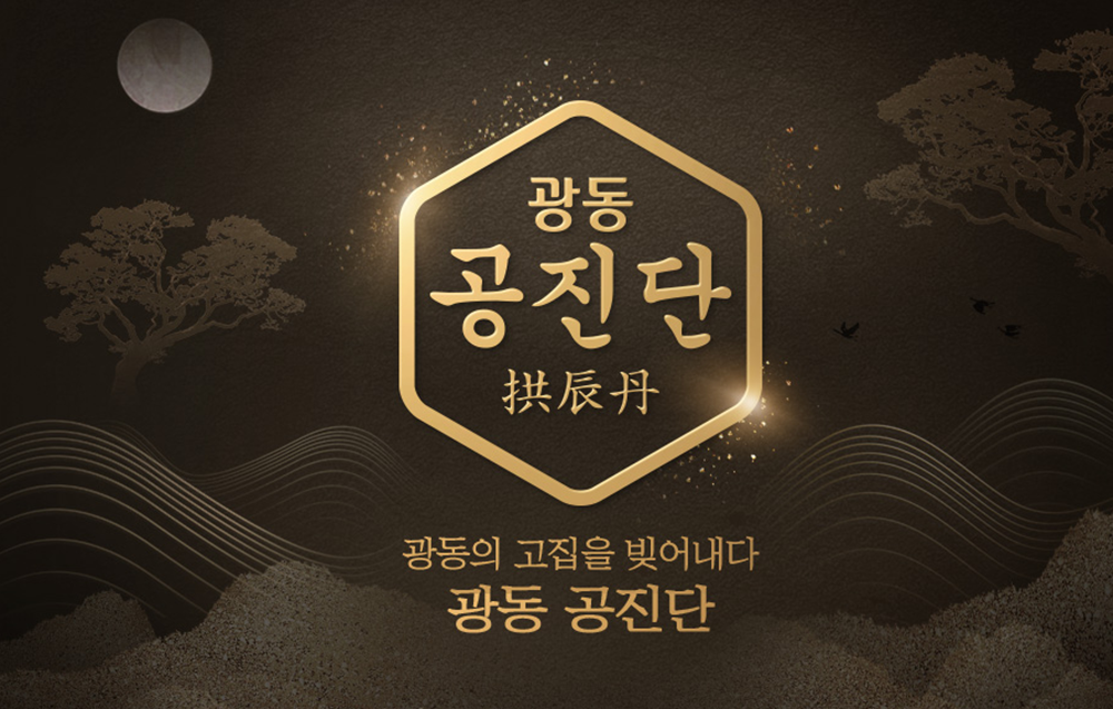 공진단 가격