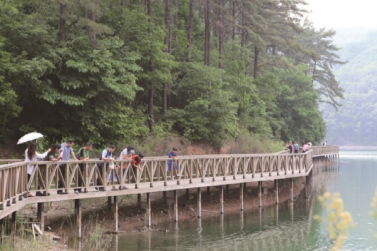 마장호수 출렁다리