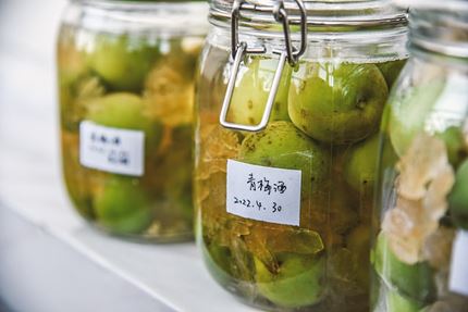 매실 효능 및 부작용, 먹는 방법