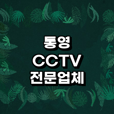 통영시 cctv