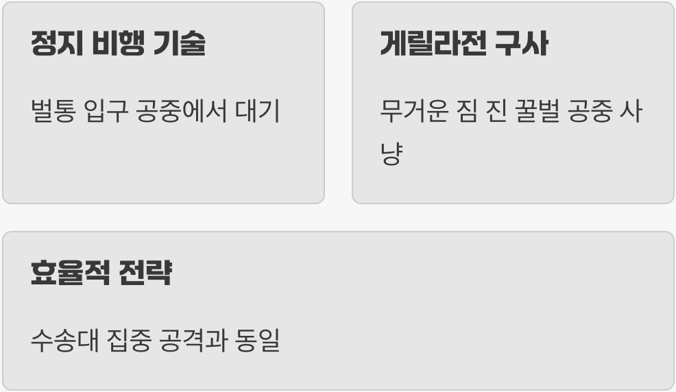 꿀벌 맞춤형 사냥 전문가