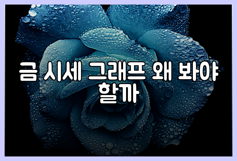 금 시세 그래프 왜 봐야 할까