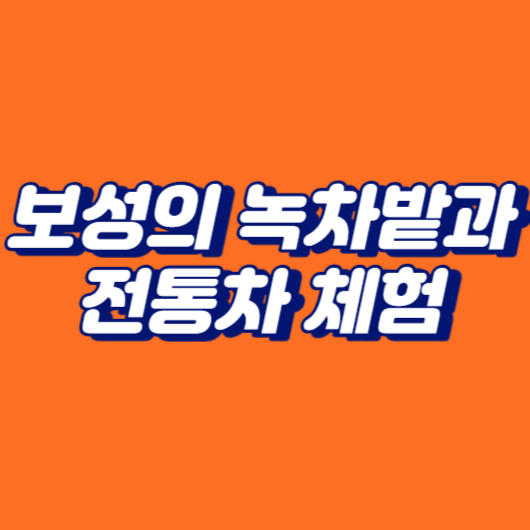 보성의 녹차밭과 전통차 체험
