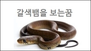 갈색뱀을 보는꿈