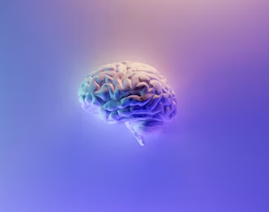 뇌졸중 치료방법 진단 합병증