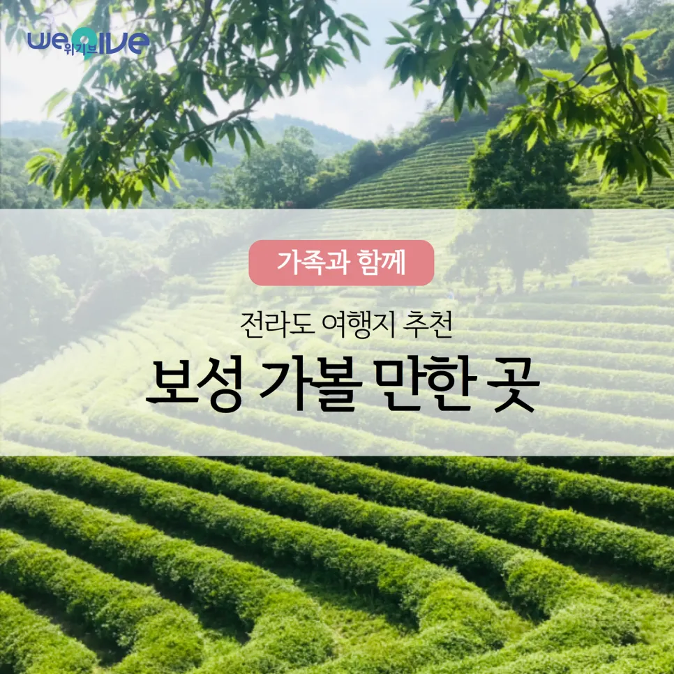 보성 가볼만한곳 베스트10 현지인 추천 필수코스_4