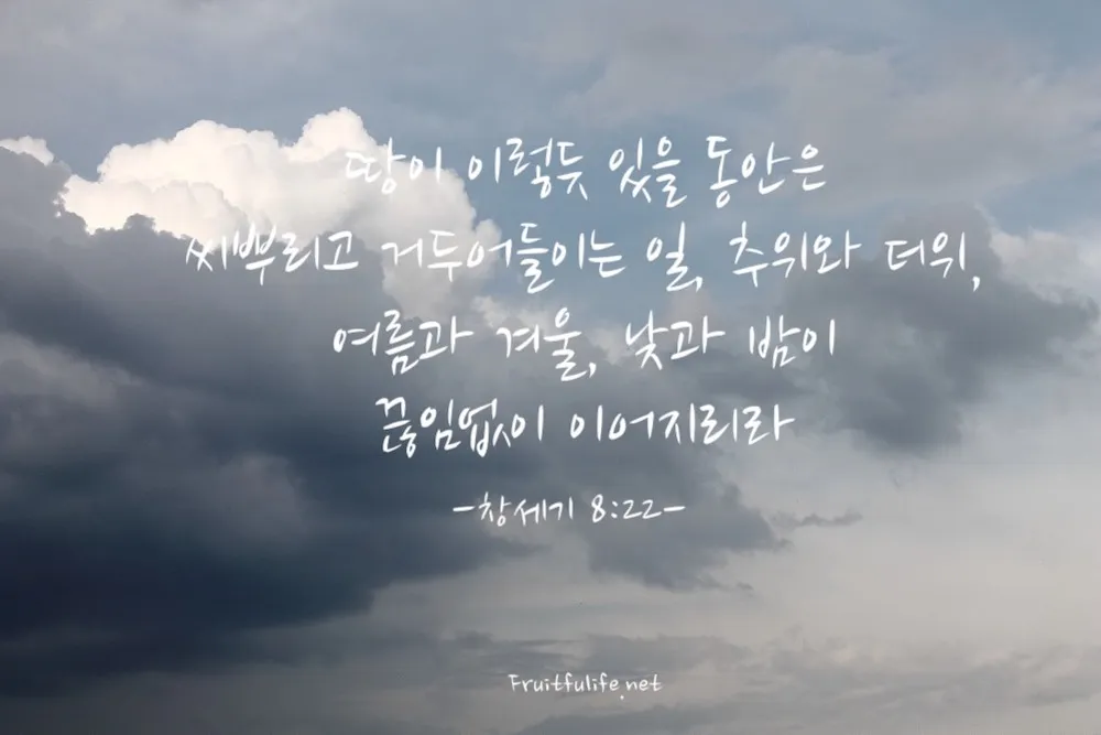 창세기 8장 홍수 후 새로운 시작을 위한 감사의 묵상과 기도_6