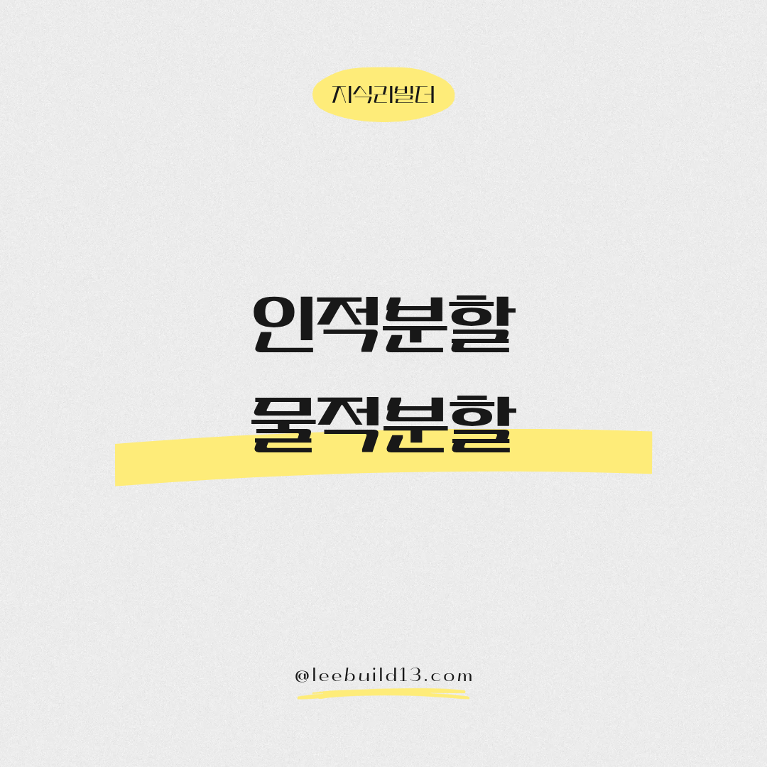 인적분할, 물적분할