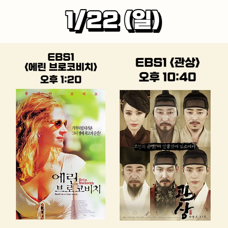 설특선영화 에린 브로코비치, 관상