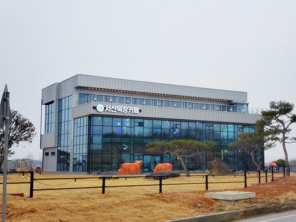 생생정보 미스터 Lee의 사진 한 컷 충남 서산 카페 힐링명소 서산목장카페 생생정보 2295회