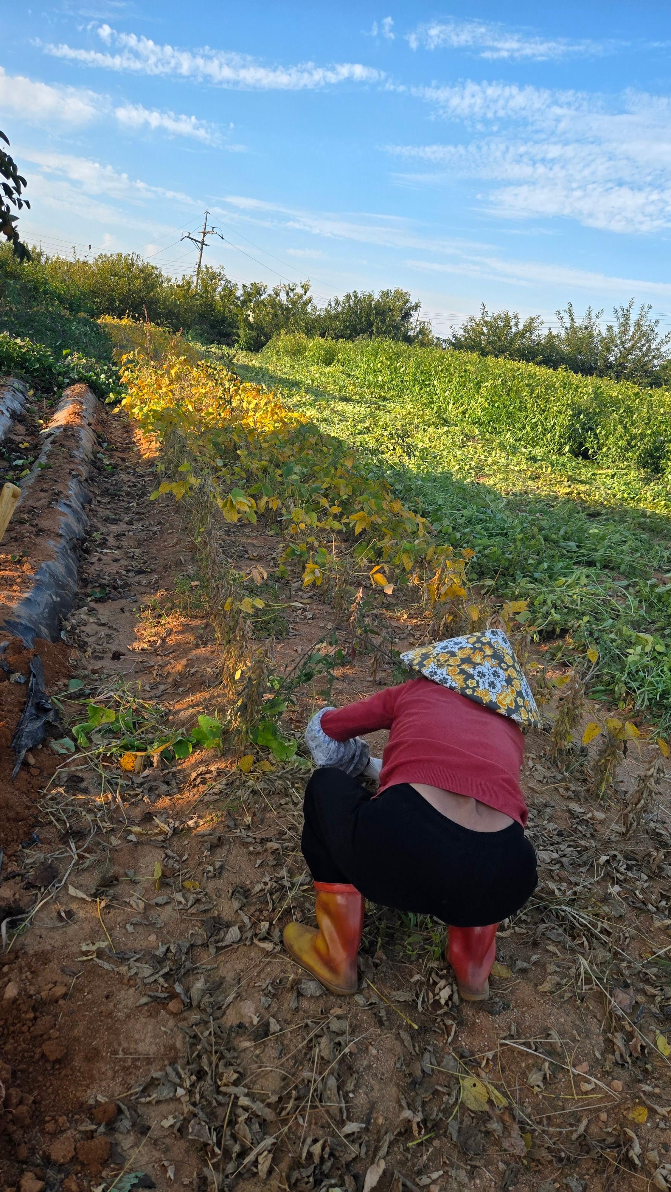 제가 직접 할 수 있는 일은 몸을 움직여 해보고&amp;#44; 전문적인 일이나 힘에 부치는 일은 주변 사람들의 도움을 받았습니다. 
