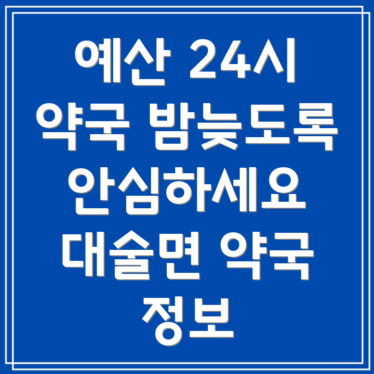 예산군 대술면 24시간 약국
