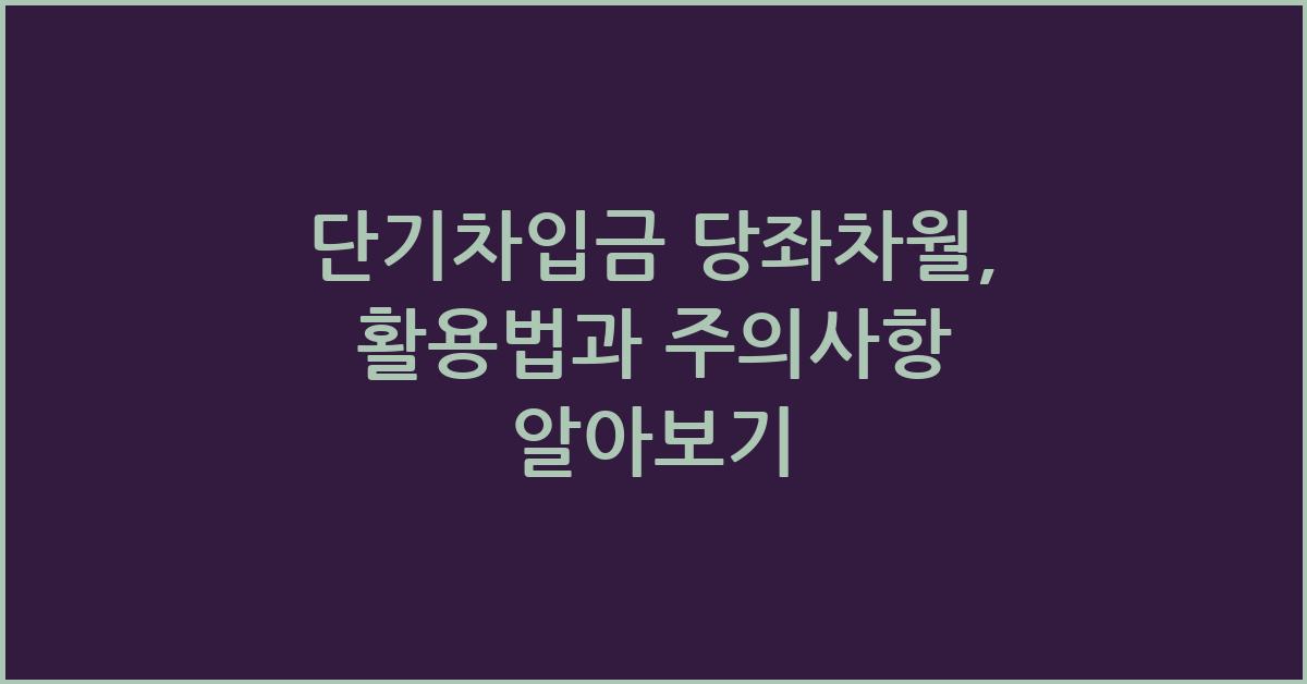 단기차입금 당좌차월