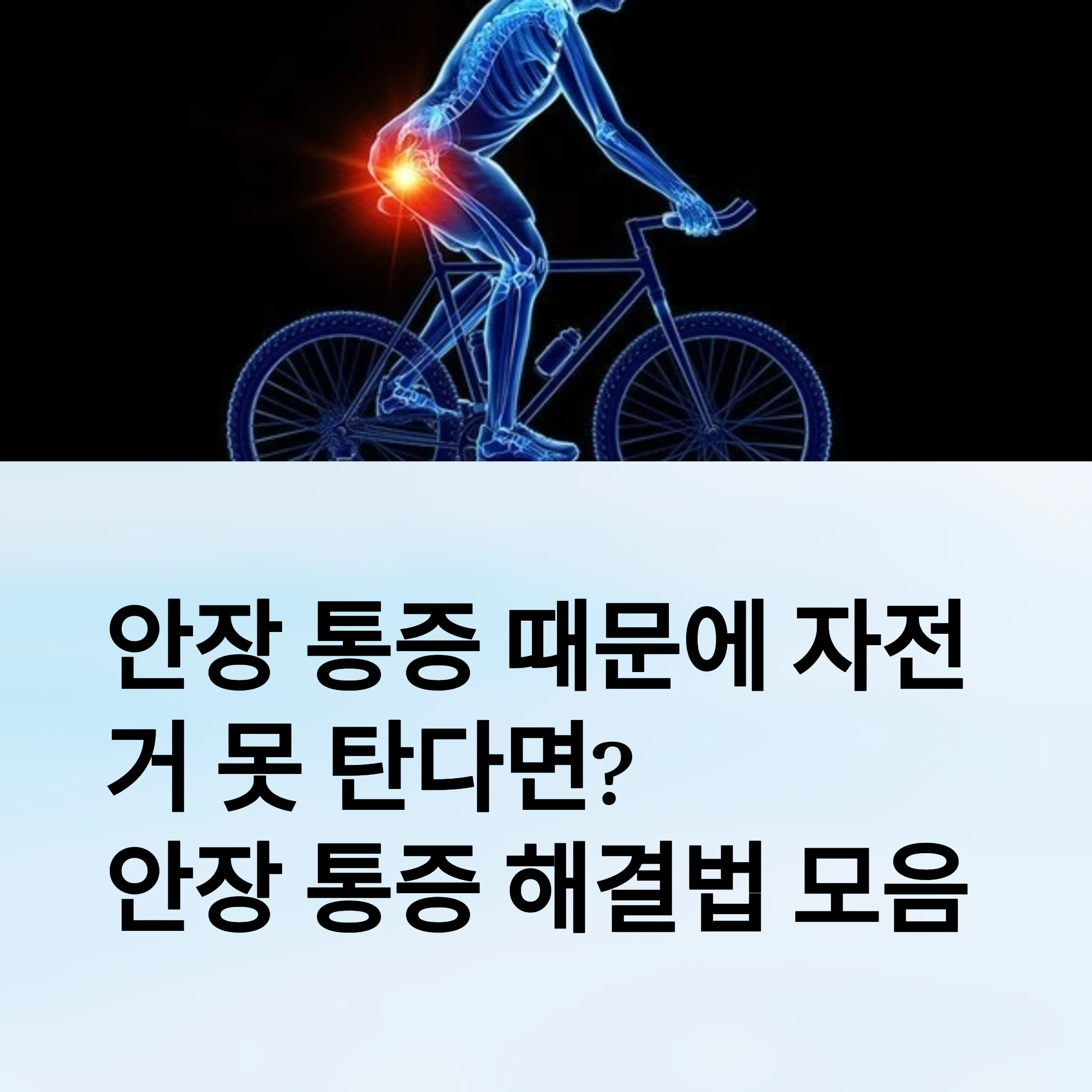 자건거-안장통-썸네일