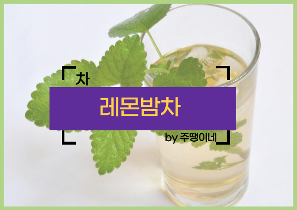레몬밤 차