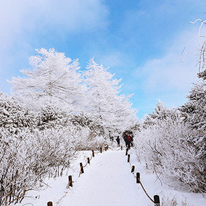 지리산 설경 미디어아트 겨울 감성 남원 바래봉 눈꽃축제 겨울 여행