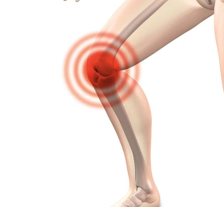 관절_호관원 프리미엄 가격