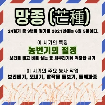 망종 절기 망종의 뜻 전통음식 매실청 담그기_8