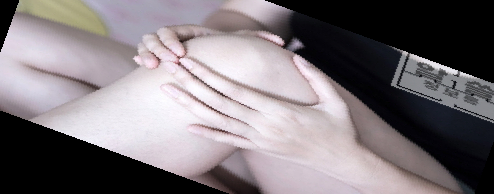 자일로 올리고당 분말 효능 가격