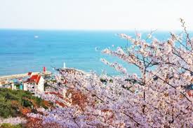 2025년 봄나들이 추천! 전국 가볼 만한 명소 Best 8