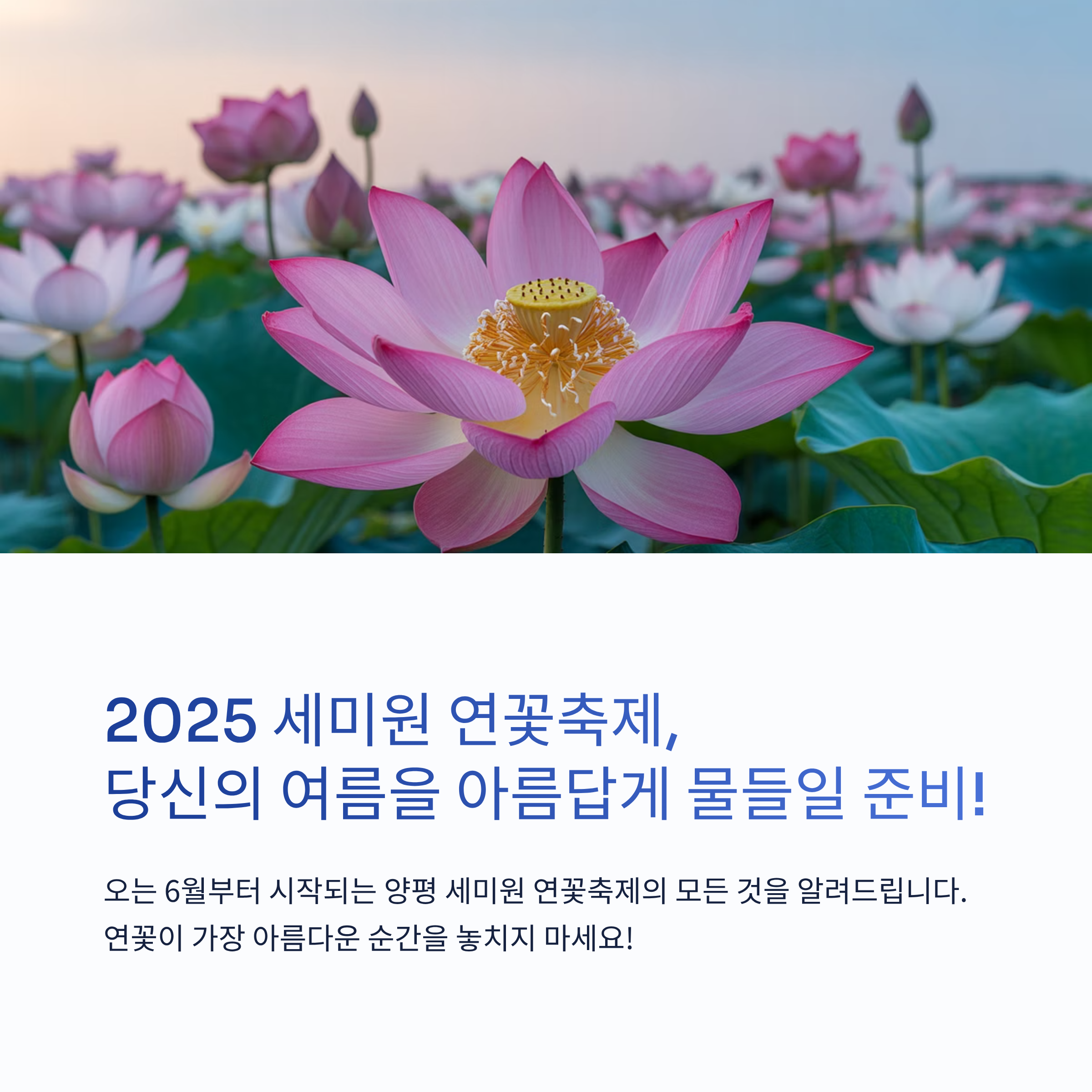 세미원 연꽃축제 개장일과 관람 팁까지