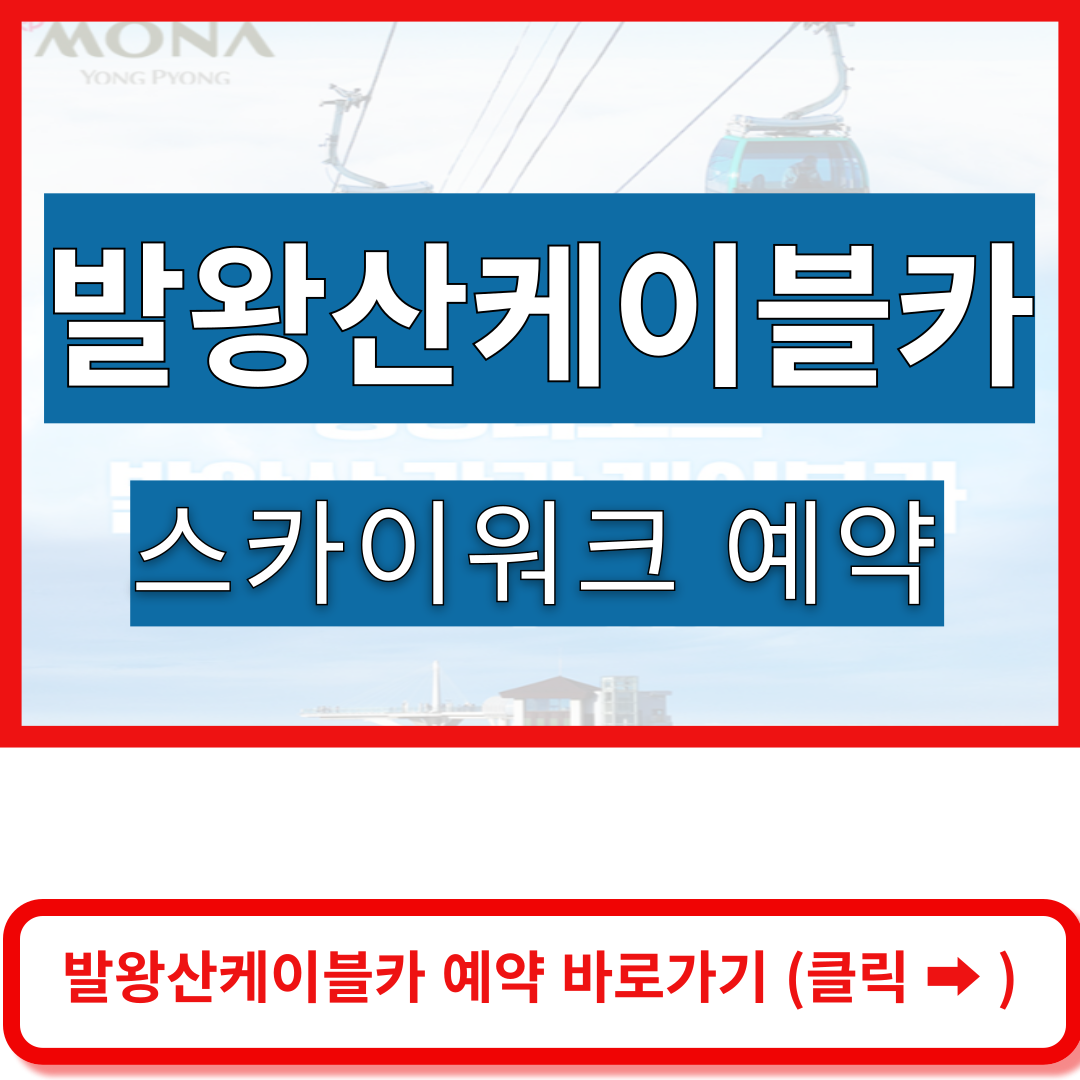 발왕산케이블카 예약 바로가기