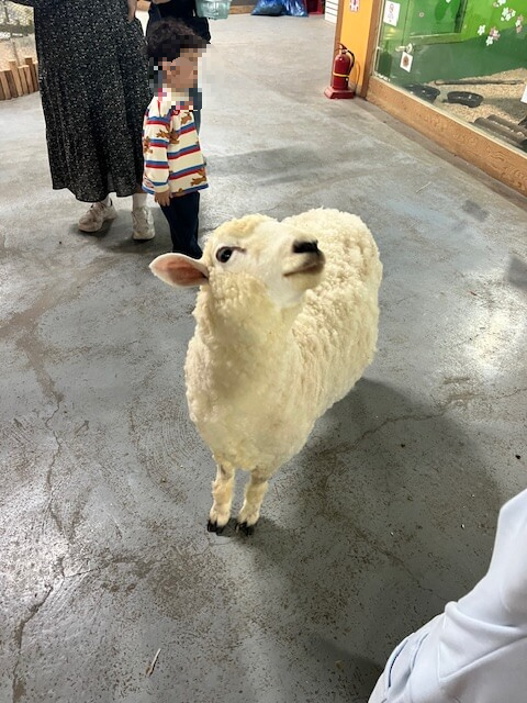 광주 패밀리랜드 벅스랜드 양