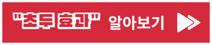 초두 효과 알아보기 링크 배너